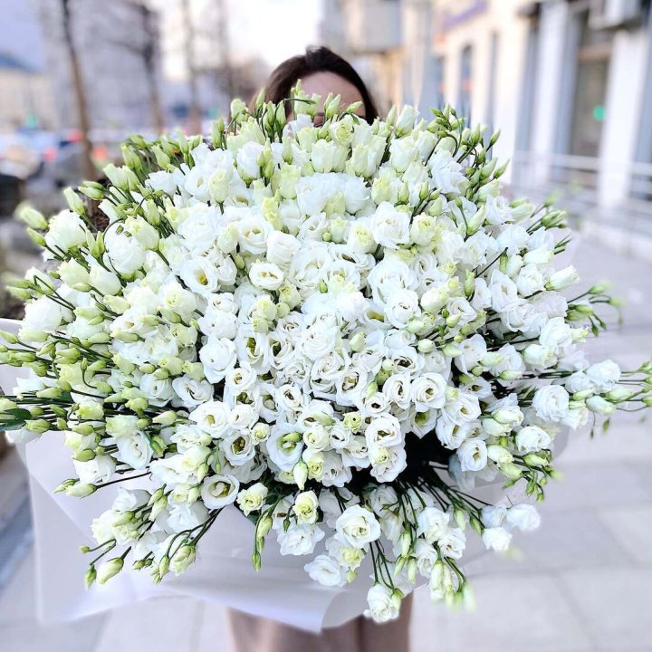 101 белая эустома в Нальчике