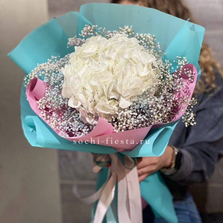 Гортензия "Райдов" в Нальчике