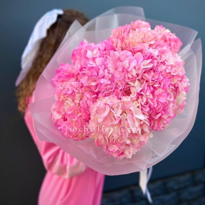 7 ярко розовых гортензий в Нальчике