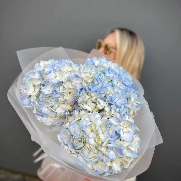 Букет из 3 голубых гортензий  в Нальчике