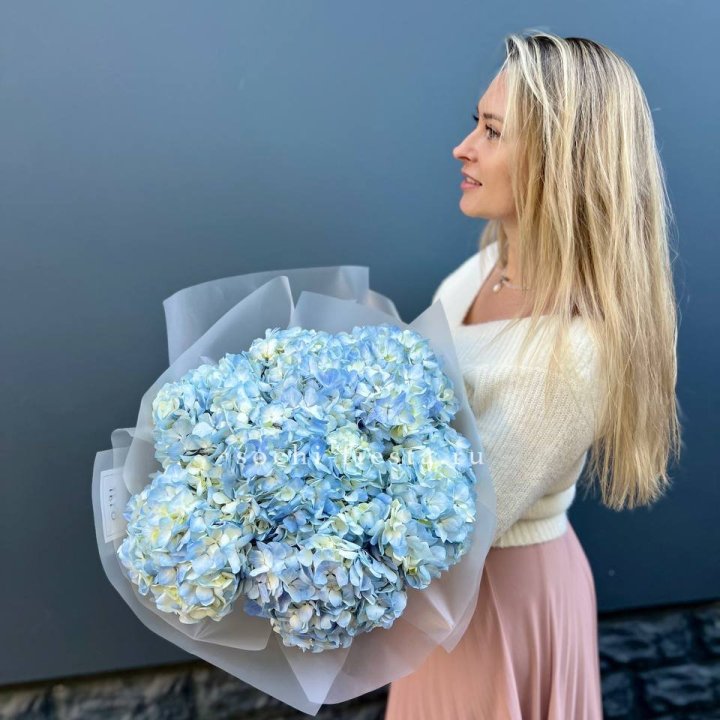 7 голубых гортензий в Нальчике