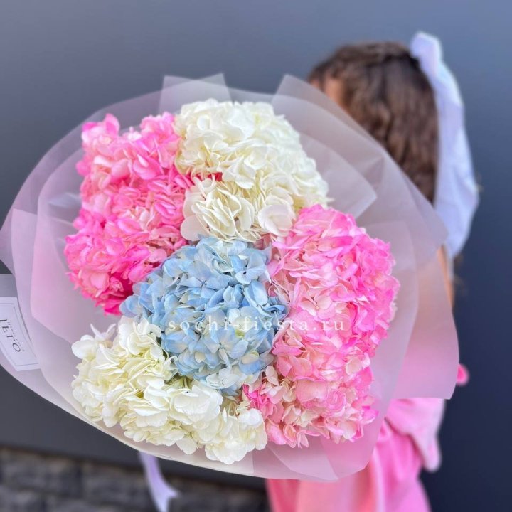 7 гортензий микс в Нальчике