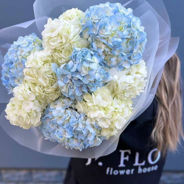 9 бело-голубых гортензий в Нальчике