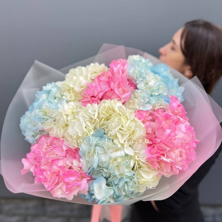 9 гортензий микс в Нальчике