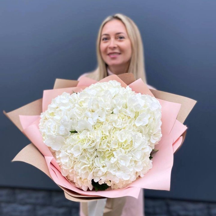 Гортензия белая в Нальчике