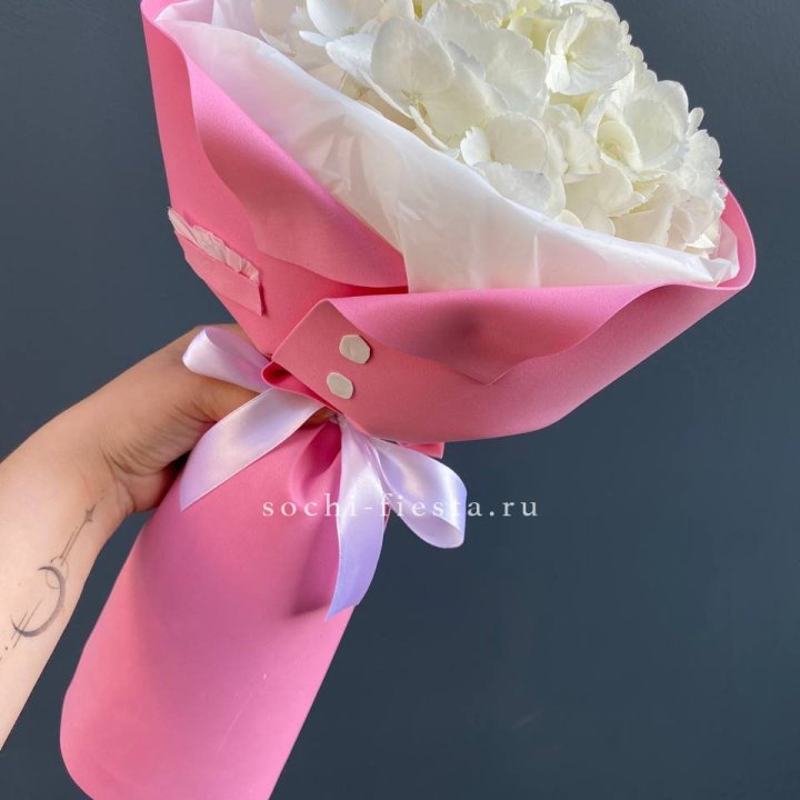 Гортензия в розовом пиджаке в Нальчике