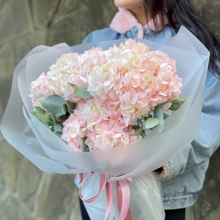 5 розовых гортензий в Нальчике