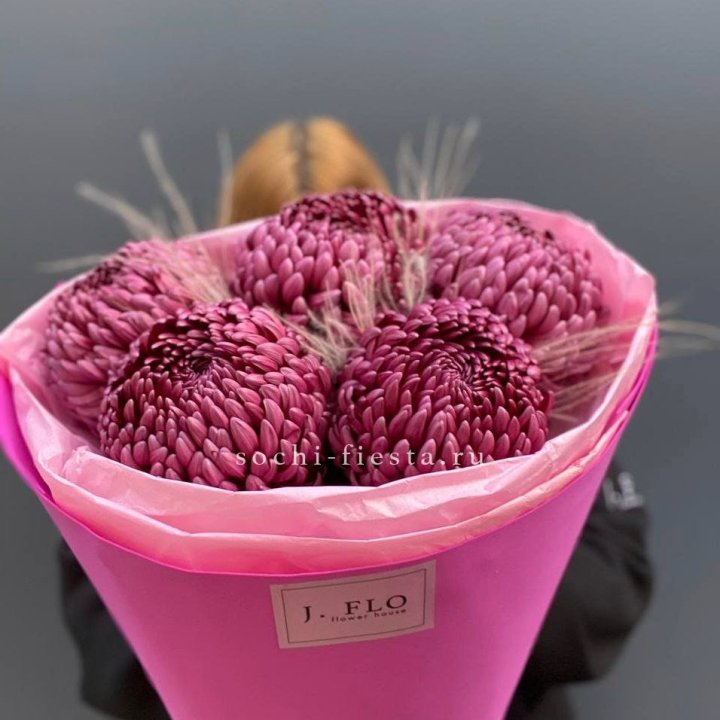 Хризантемы  Бигуди с стифой в Нальчике