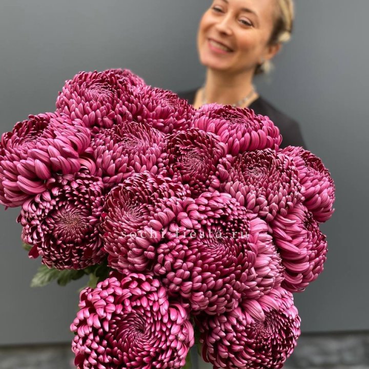 Охапка хризантем Бигуди в Нальчике