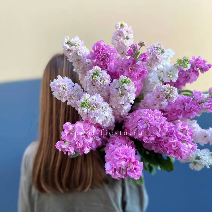 Охапка маттиолы в Нальчике