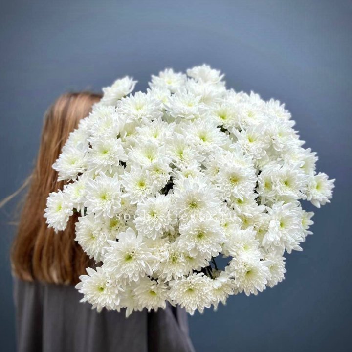 Охапка Хризантемы кустовой в Нальчике