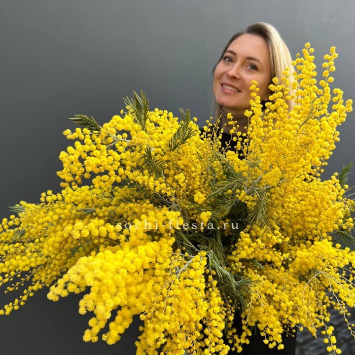 Охапка мимозы №2 в Нальчике