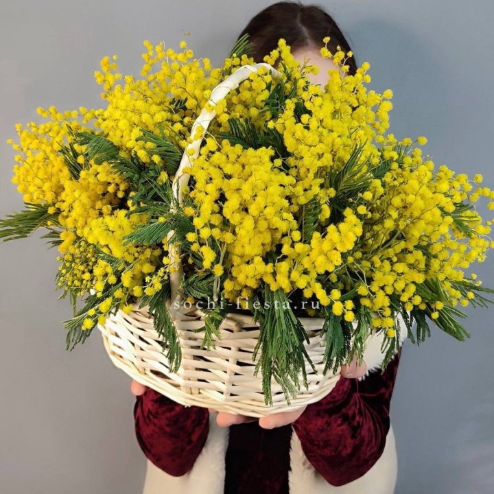 Корзина ароматной мимозы в Нальчике