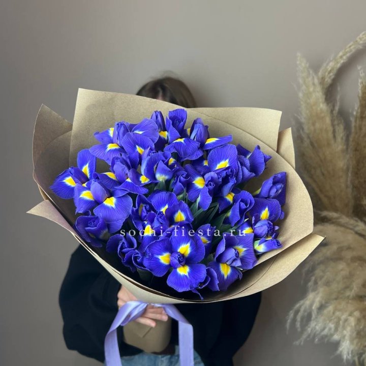 Ирисы в Нальчике