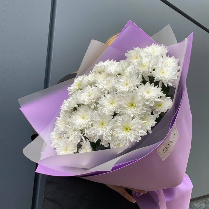  7 хризантем  в Нальчике