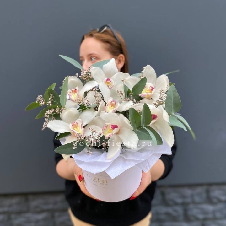 7 орхидей в боксе в Нальчике