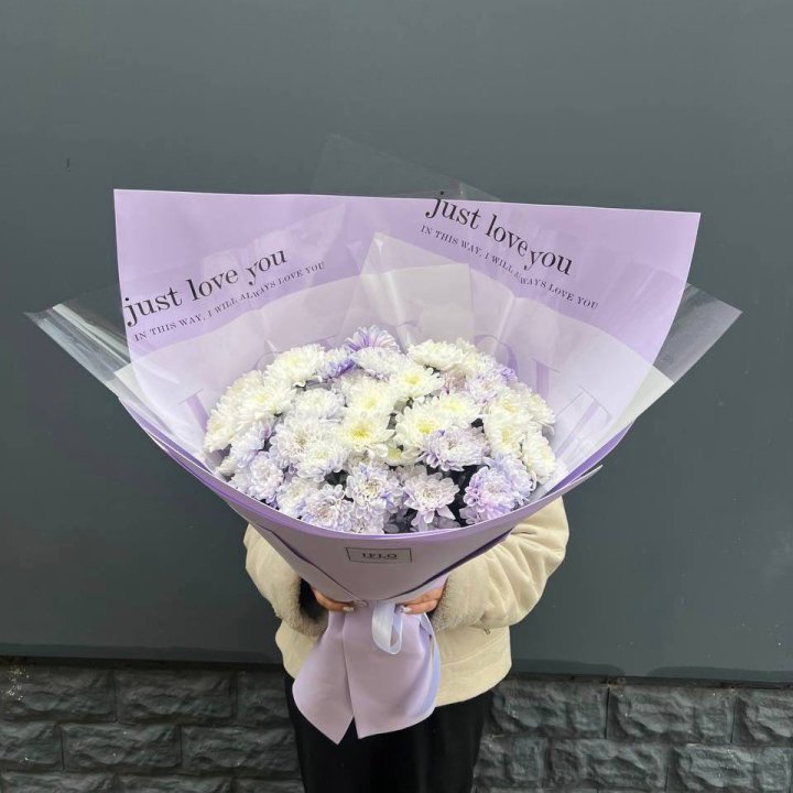 9 воздушных хризантем в Нальчике