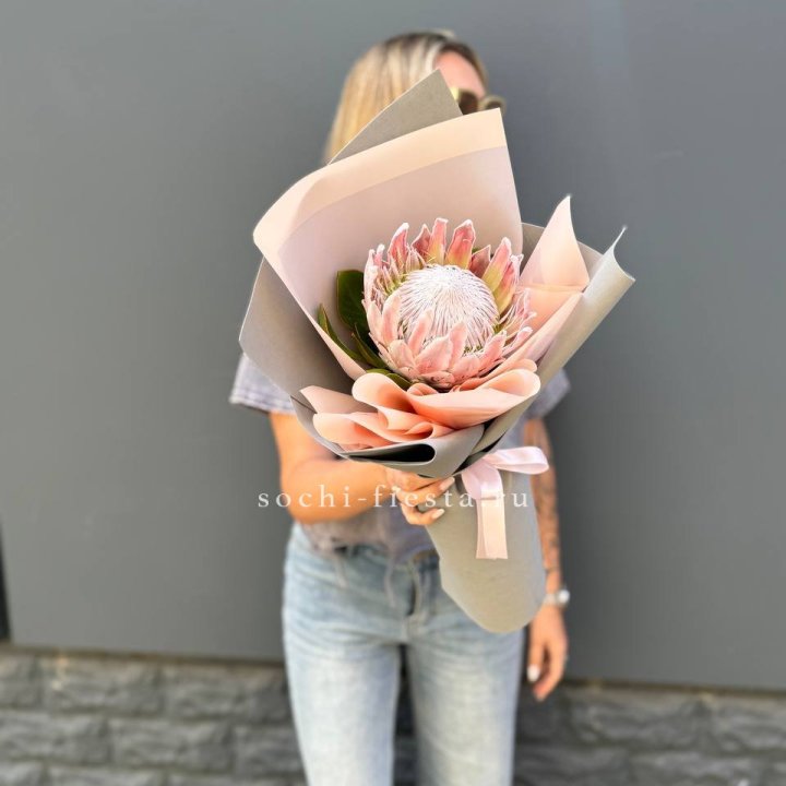 Протея мини  в Нальчике