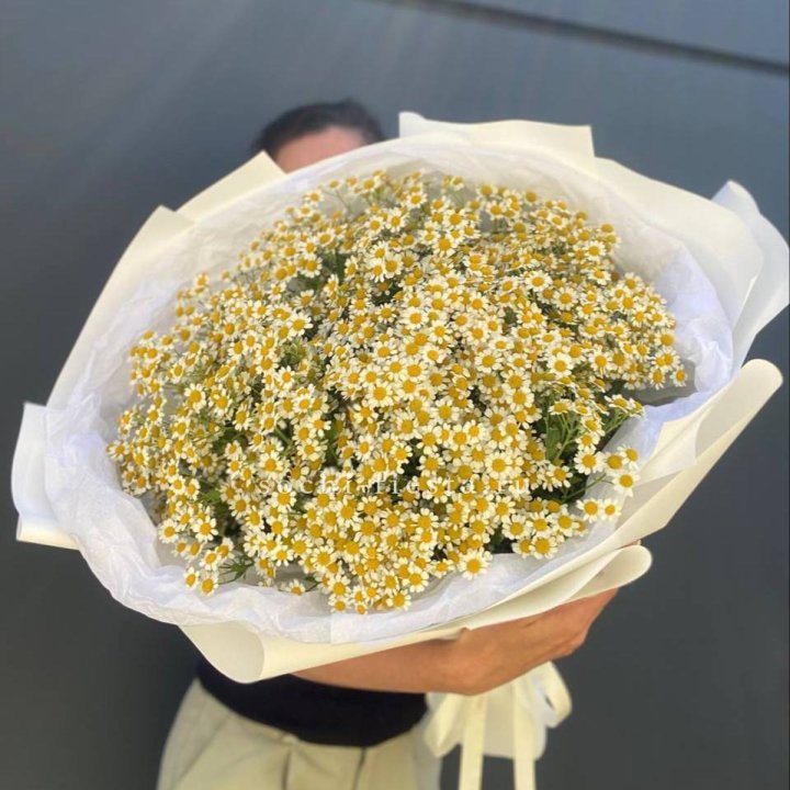 Букет ромашек №2 в Нальчике