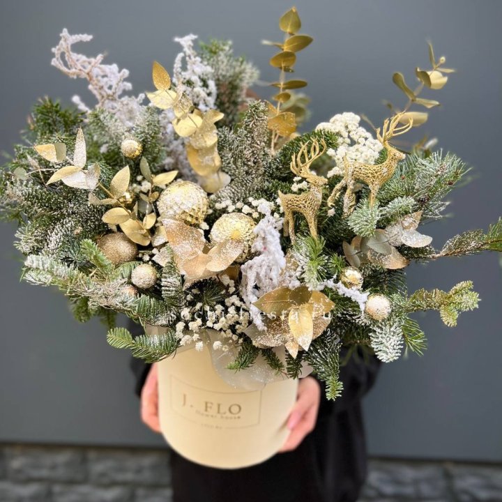 Золотой бокс с нобилисом в Нальчике