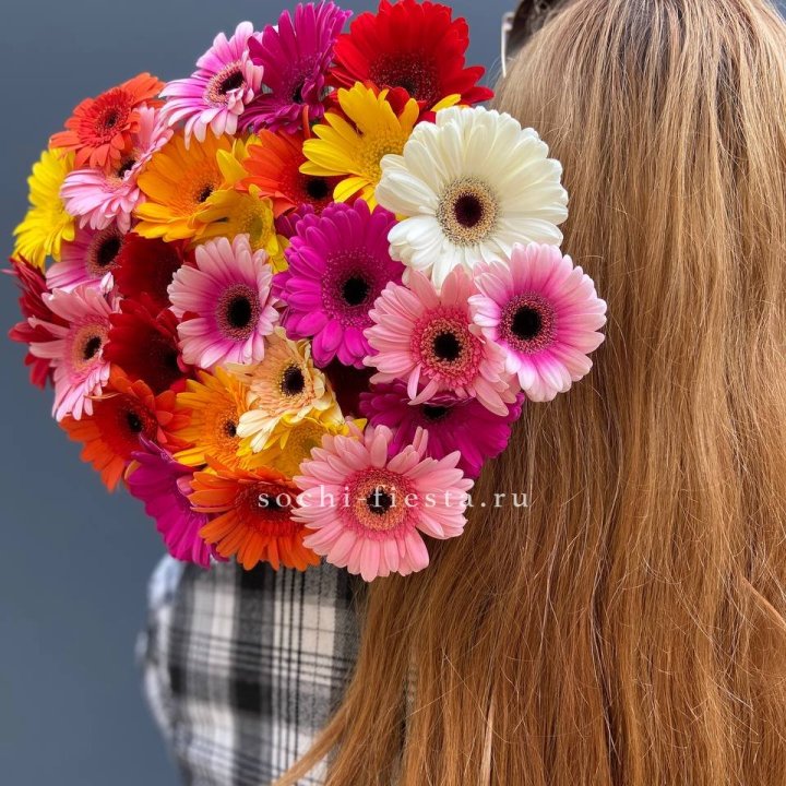 Охапка гербер  в Нальчике