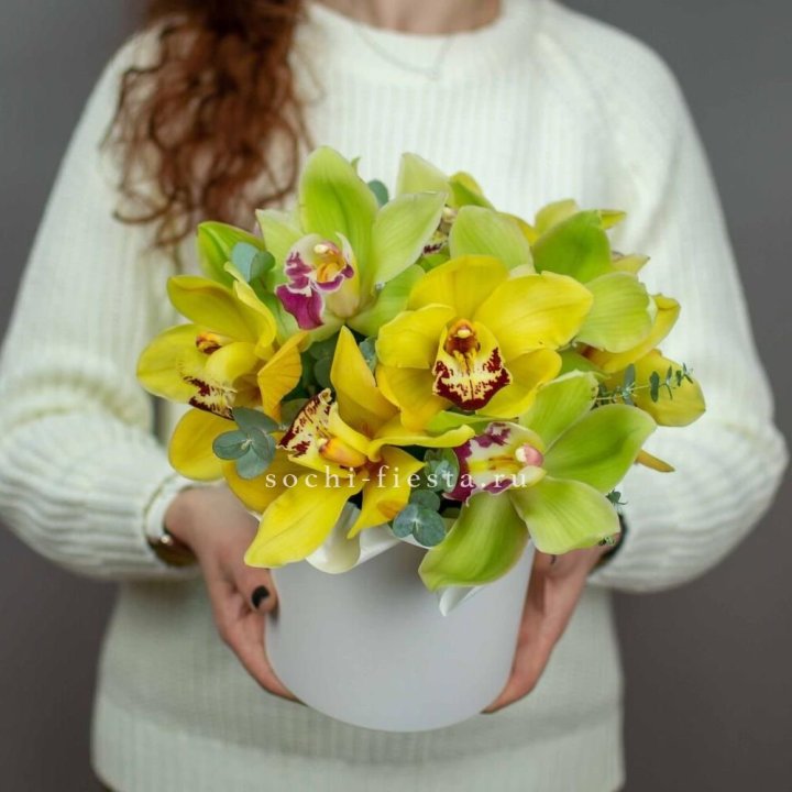 Бокс с орхидей №1 в Нальчике