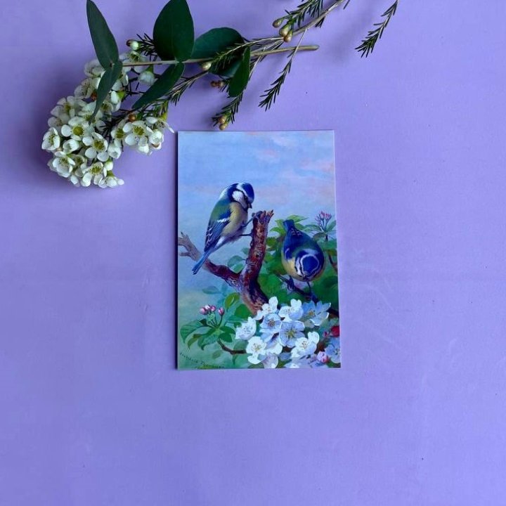 Открытка к букету "Птицы" в Нальчике