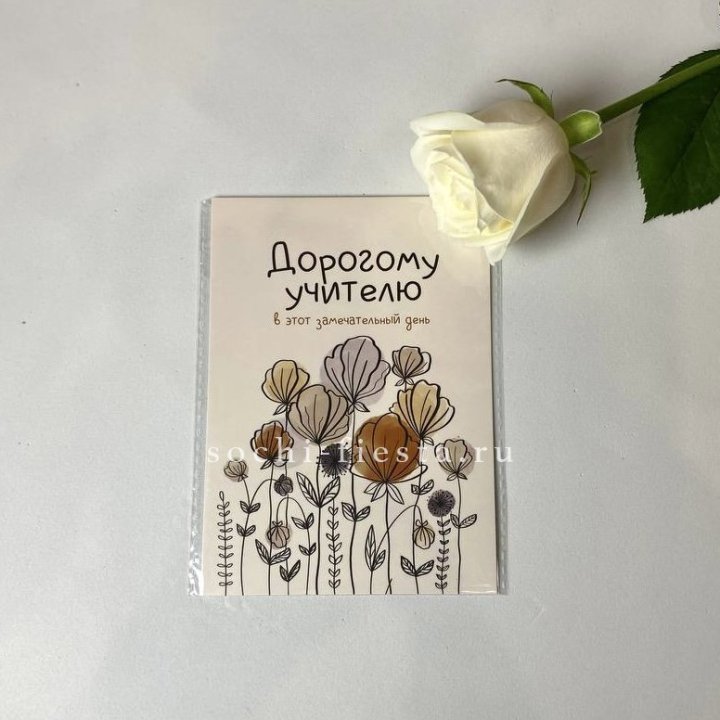 Открытка к букету "Дорогому учителю" в Нальчике