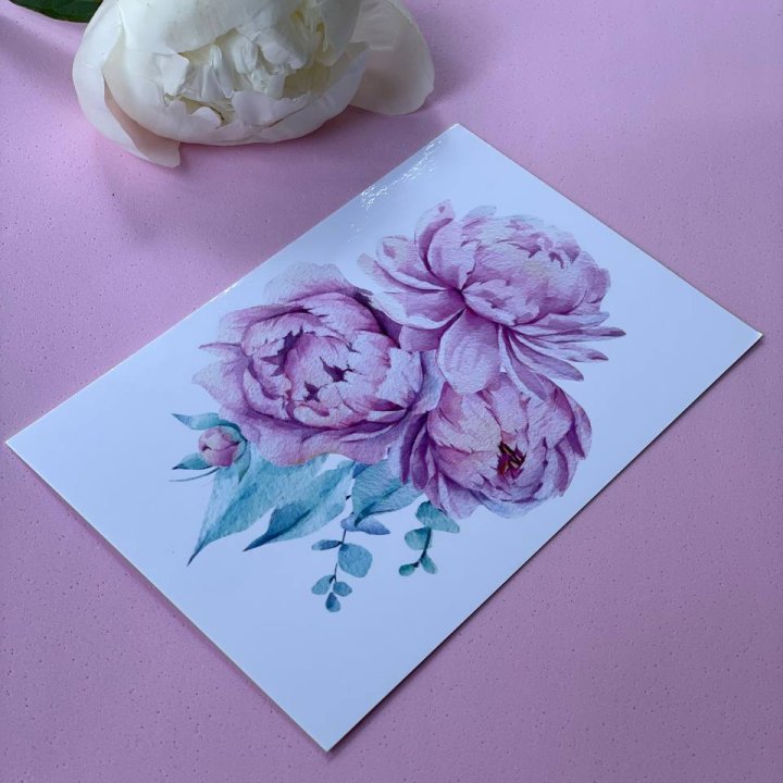 Открытка к букету "Пионы" в Нальчике