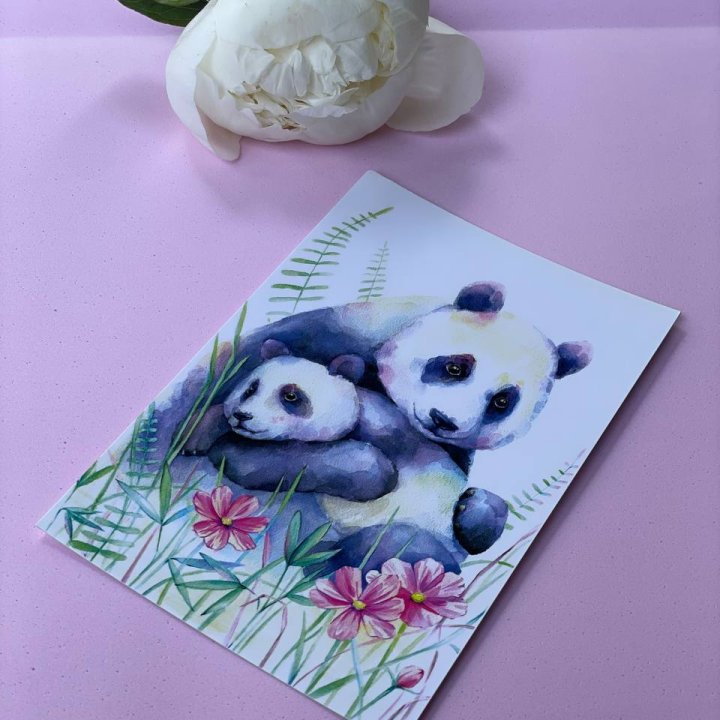 Открытка к букету "Объятие Панды" в Нальчике