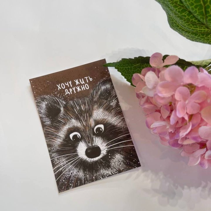 Открытка к букету "Енотик" в Нальчике