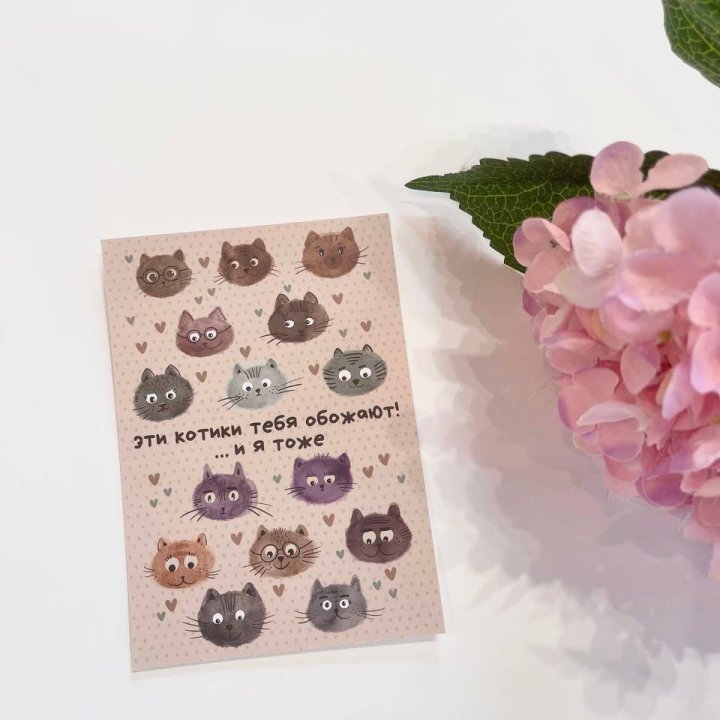 Открытка к букету "Котики" в Нальчике