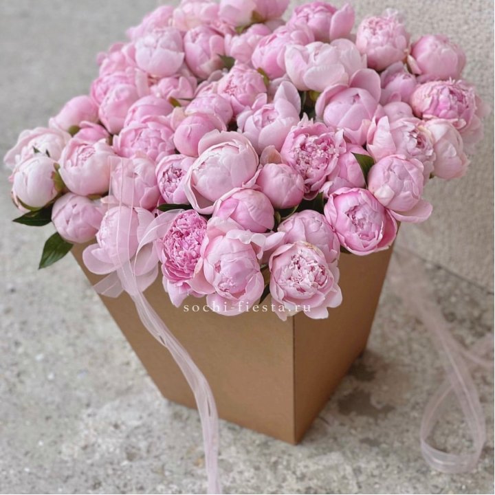 49 пионов в крафт коробке в Нальчике