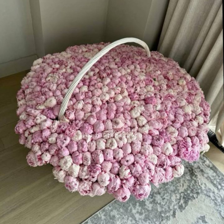 Корзина 555 пионов в Нальчике