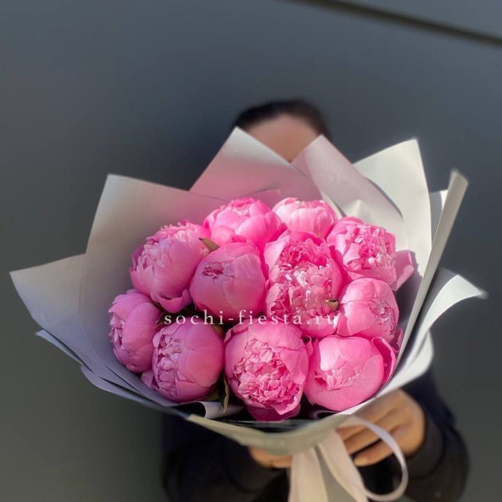 Пионы Алекс флеминг в Нальчике