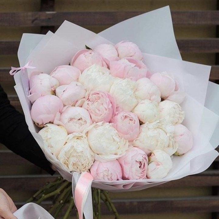 29 пионов в Нальчике