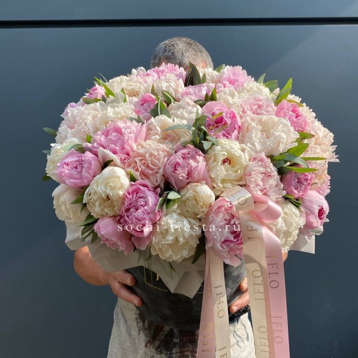 51 пионов в боксе в Нальчике