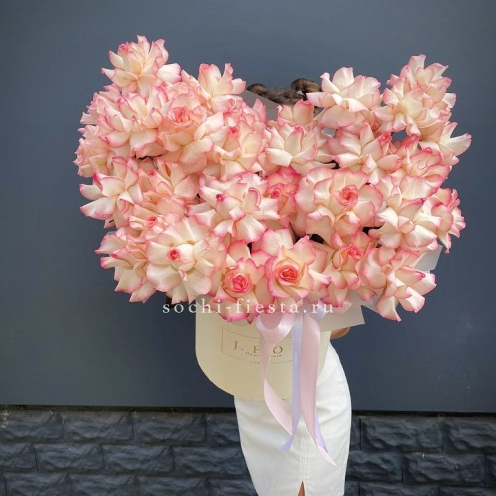 31 французская роза Джумилия в боксе в Нальчике