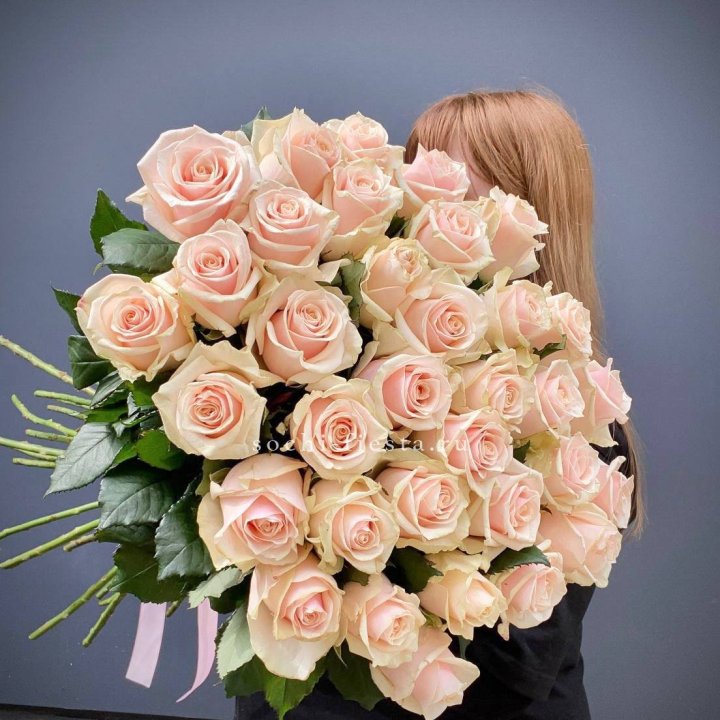 35 кремовых высоких роз в Нальчике