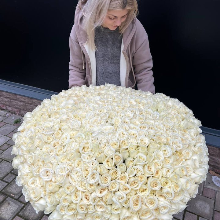 501 белая роза в корзине в Нальчике