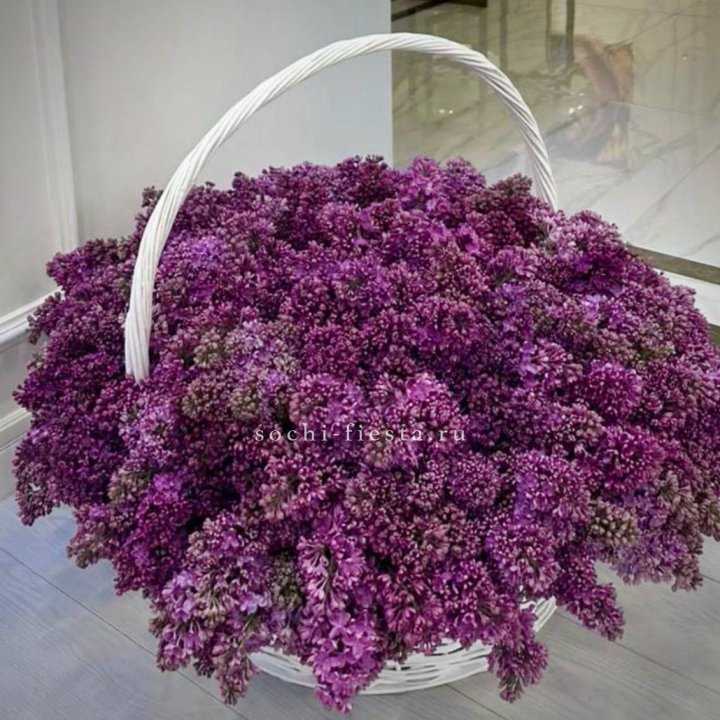 Корзина сирени в Нальчике