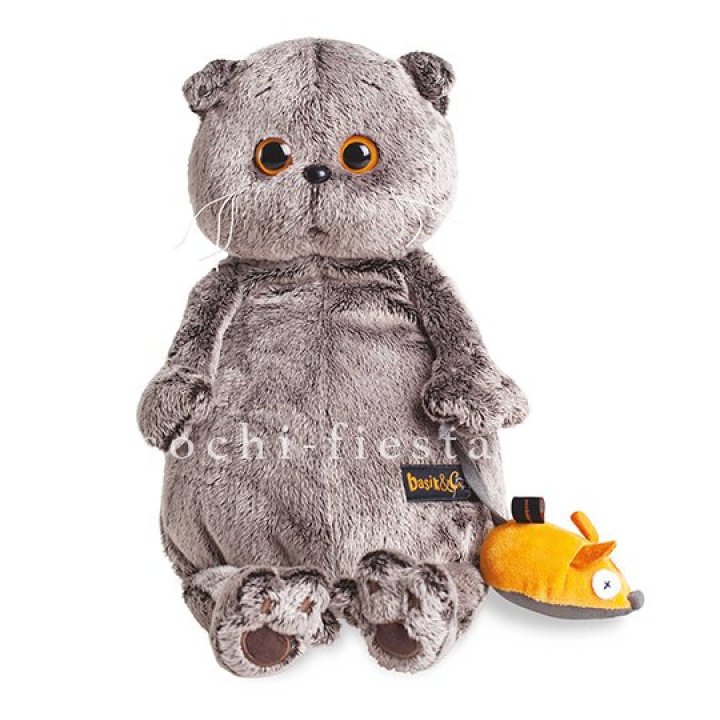 Кот Басик с мышкой в Нальчике