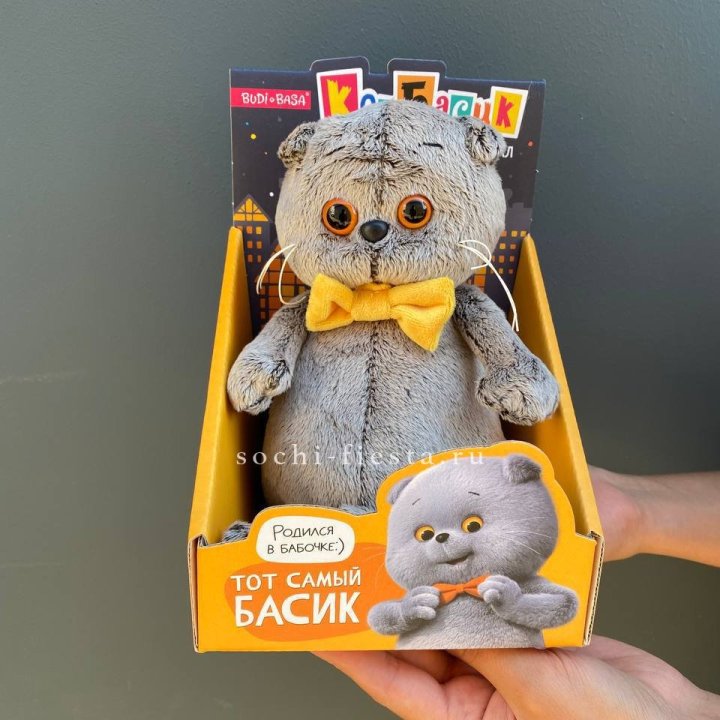 Кот Басик с бабочкой в Нальчике