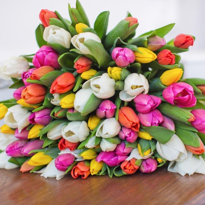 79 тюльпанов "Рандом" в Нальчике