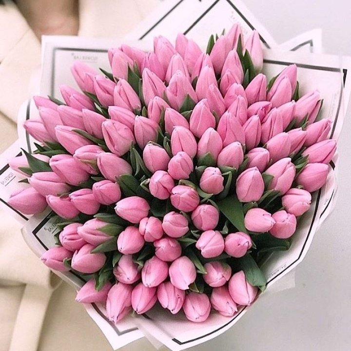101 розовый тюльпан в белом в Нальчике