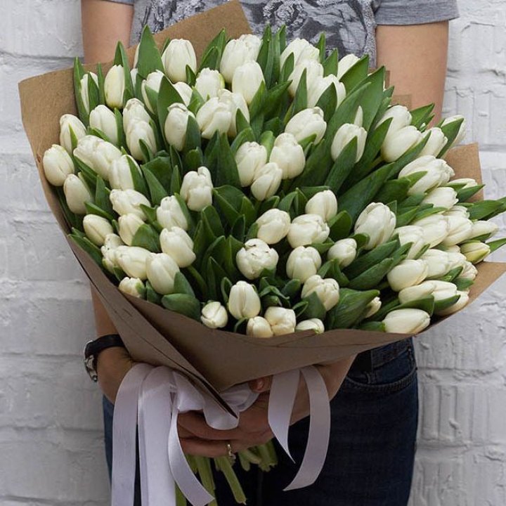 101 тюльпан сноу в Нальчике