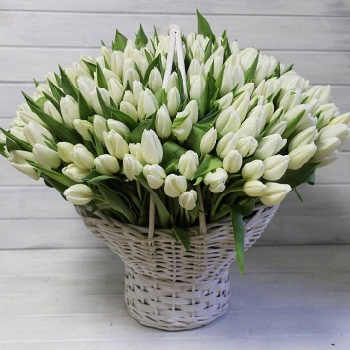 Корзина из 151 тюльпана в Нальчике