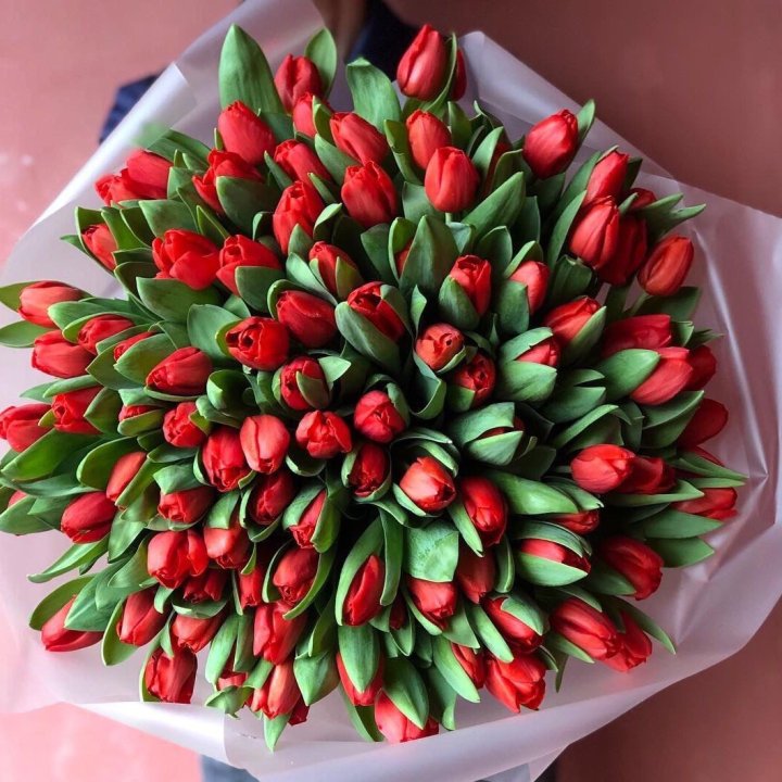 101 красный тюльпан в Нальчике